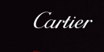 Мини-сайт Cartier